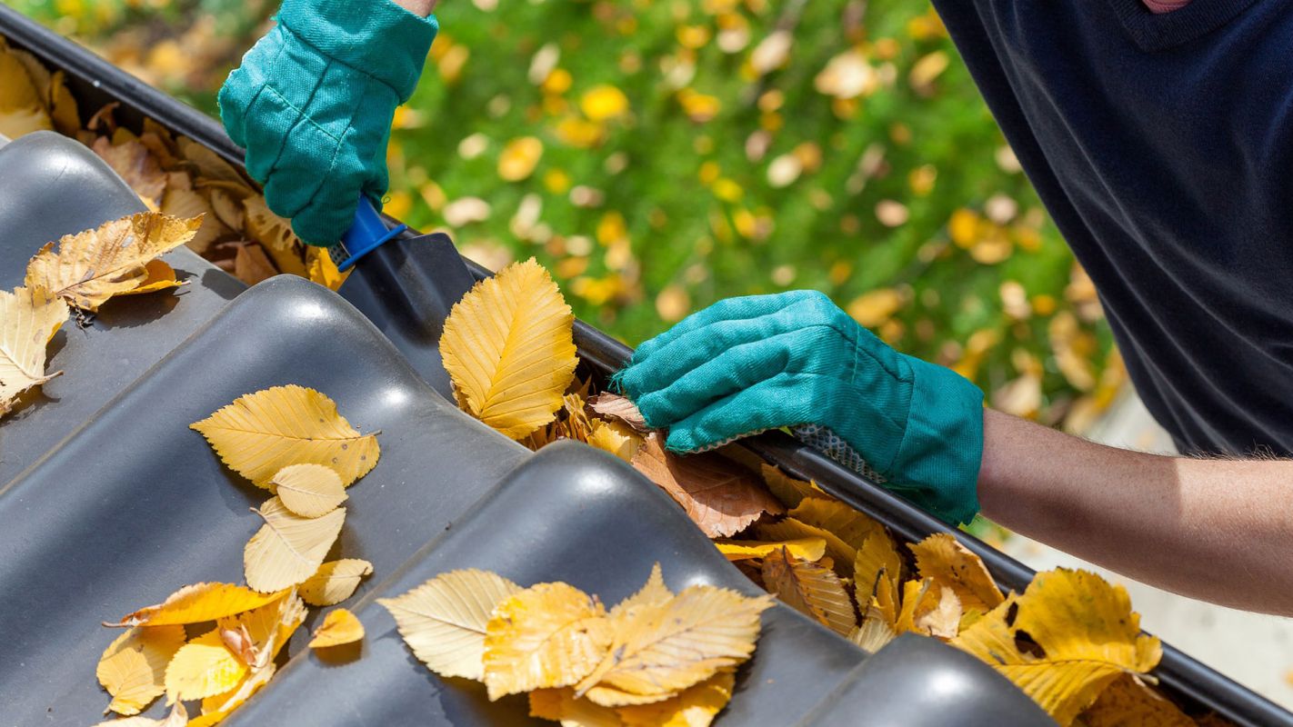 Gutter Cleaning And Repair Troy MI