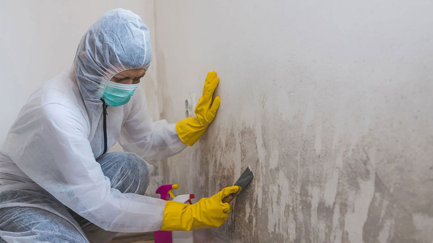 Mold Remediation Services Kissimmee FL