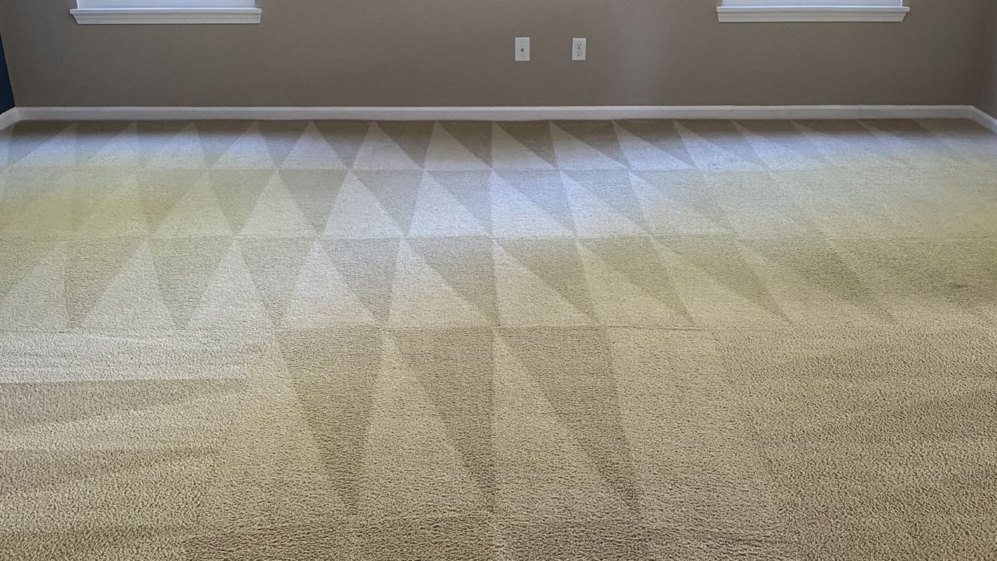 Carpet Cleaning Services Indianapolis IN