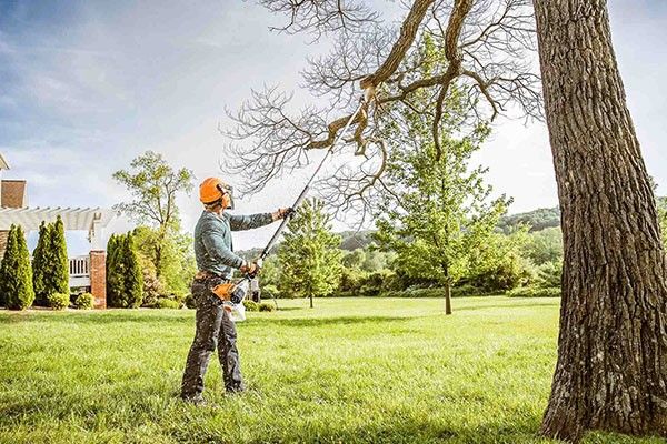 Tree Trimming Service Sugar Land TX