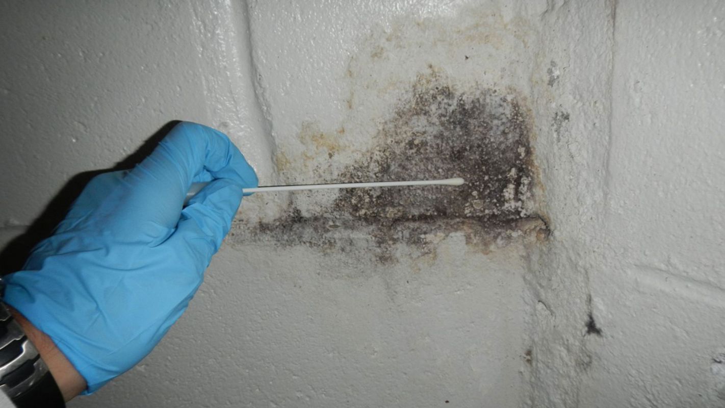 Mold Inspection & Testing Romeoville IL
