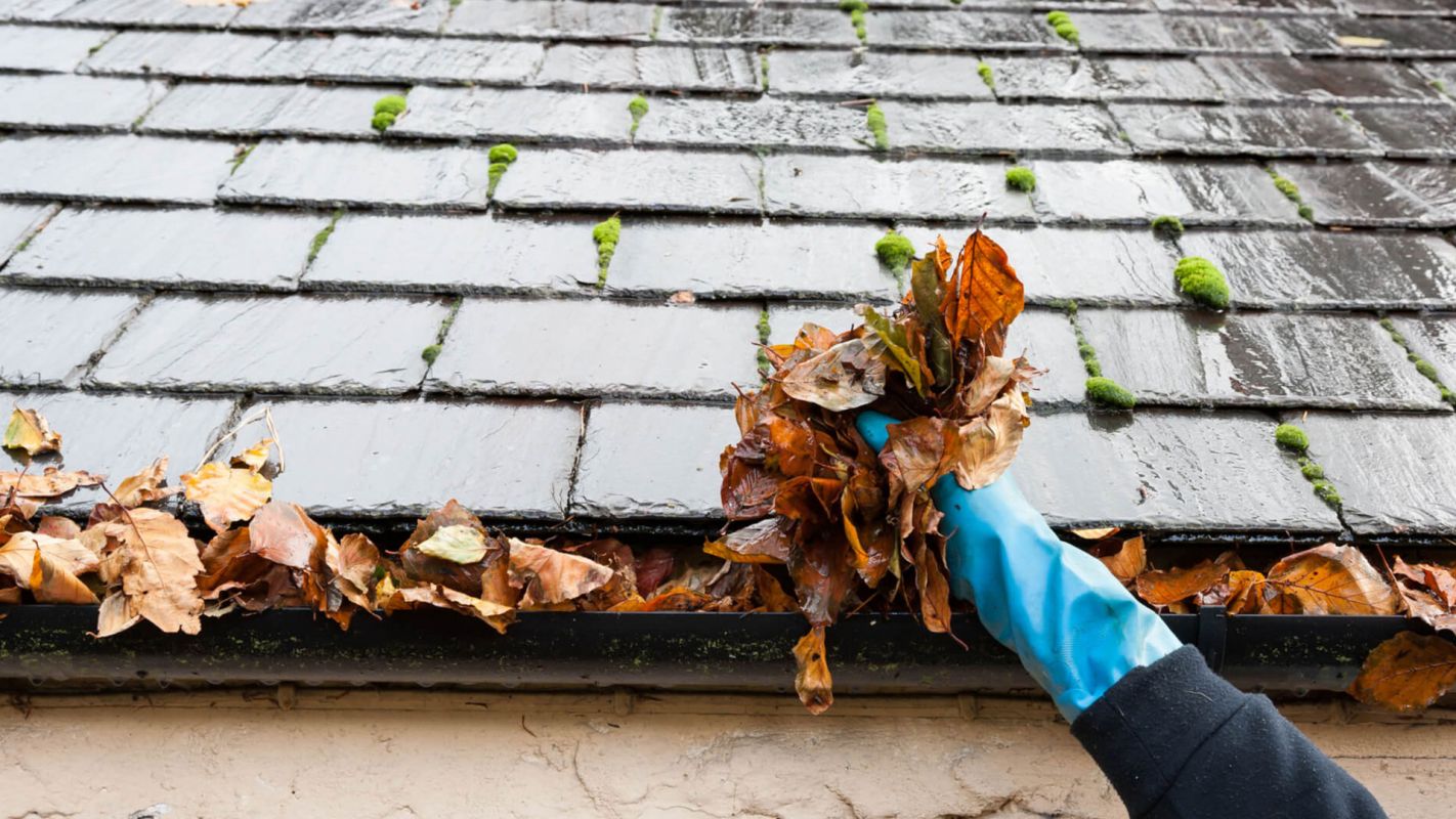 Gutter Cleaning Services Reading PA