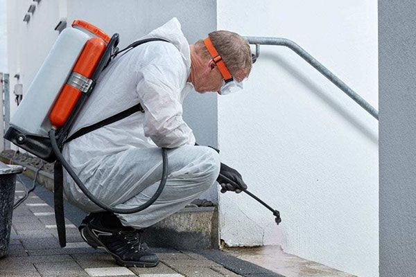 Mold Specialist Port Neches TX