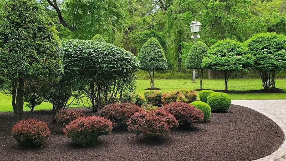 Landscaping Services Baltimore MD