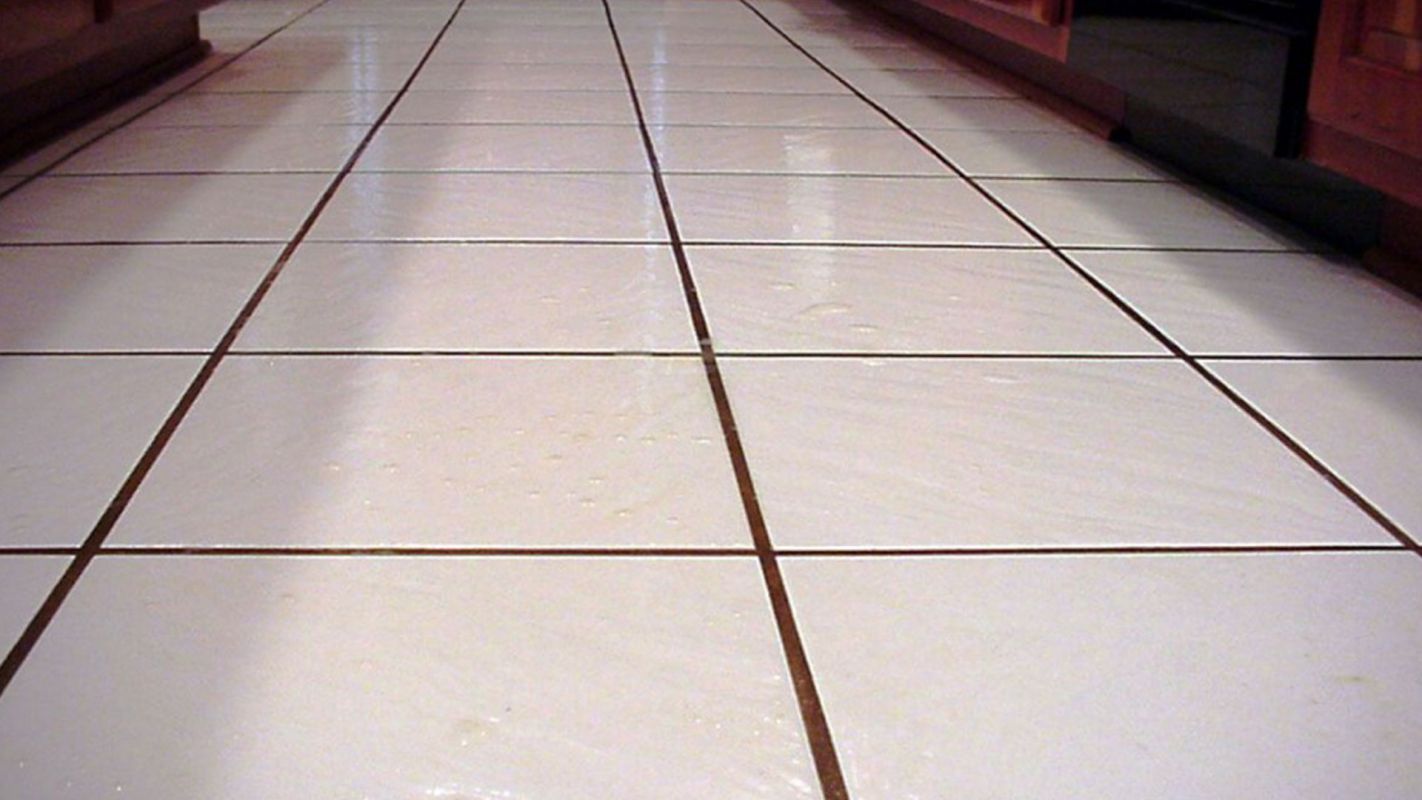 Tile Cleaning Tampa FL