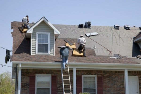 Shingle Roof Installation Stanley ND