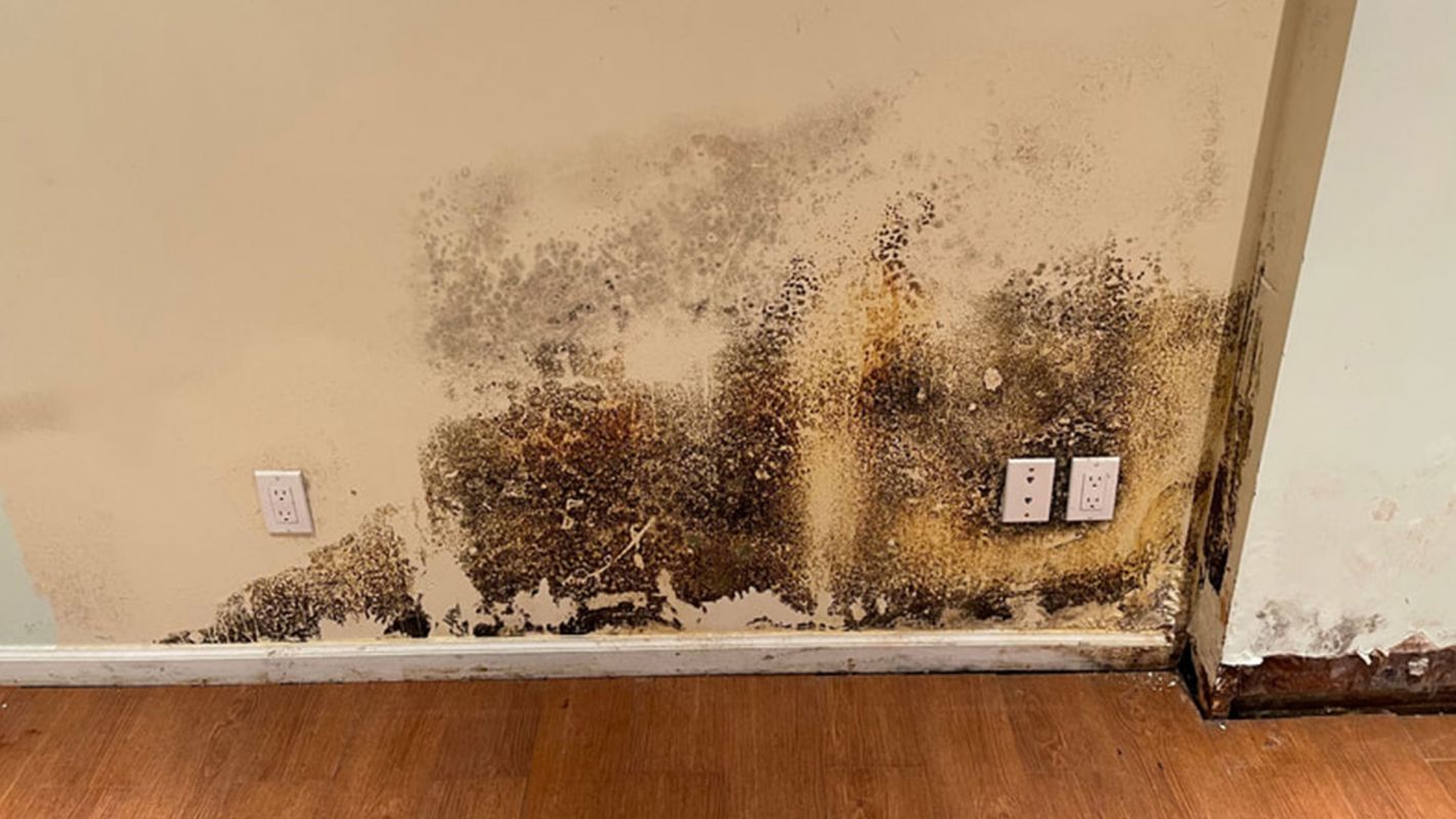 Mold Restoration Matawan NJ