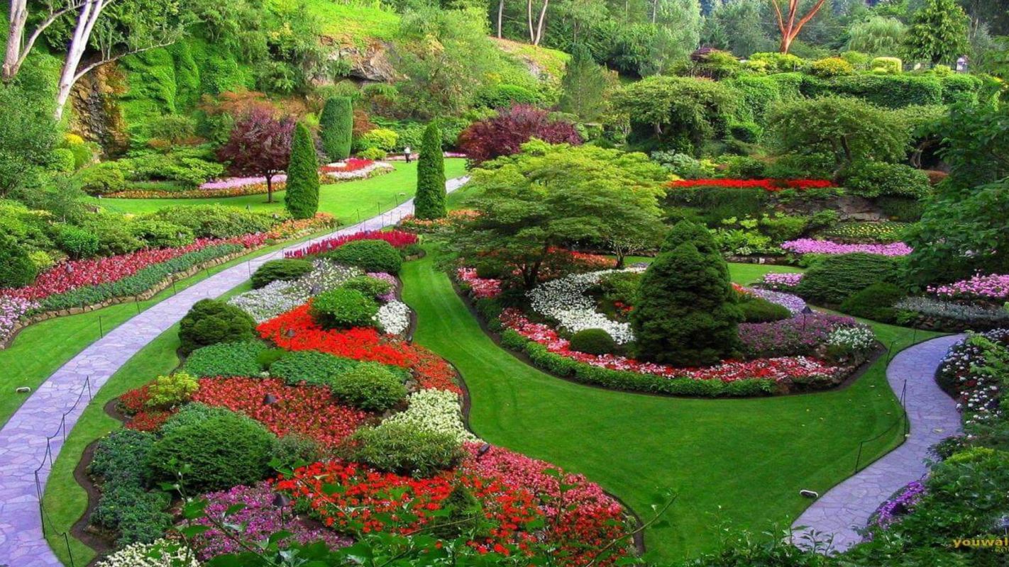 Landscaping Contractors Alcoa TN