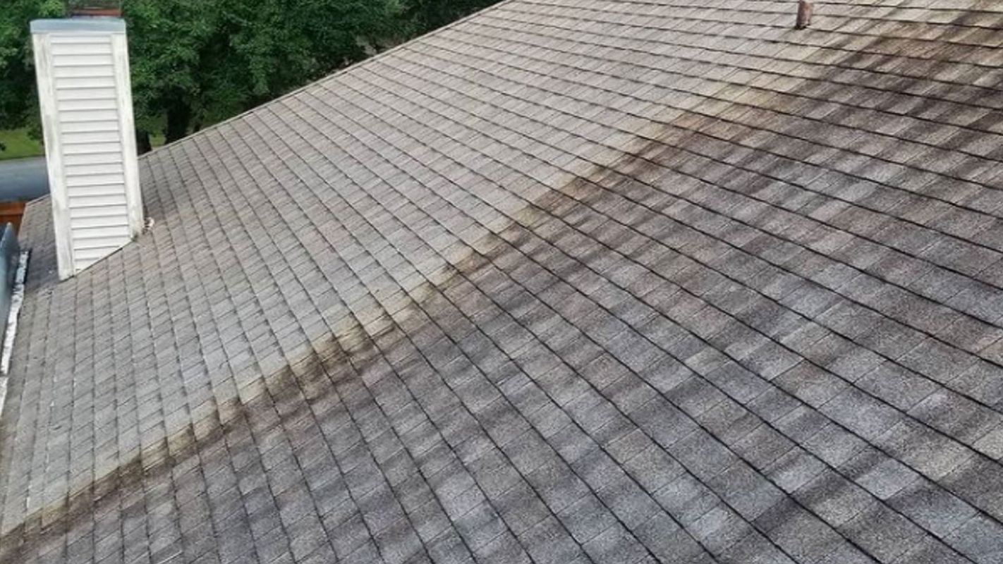 Roof Cleaning Services St Johns FL