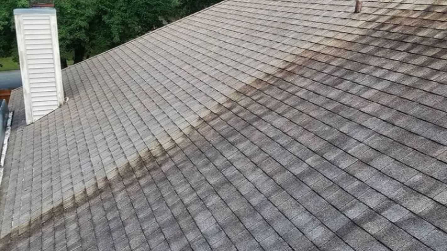 Roof Cleaning Services Jacksonville FL