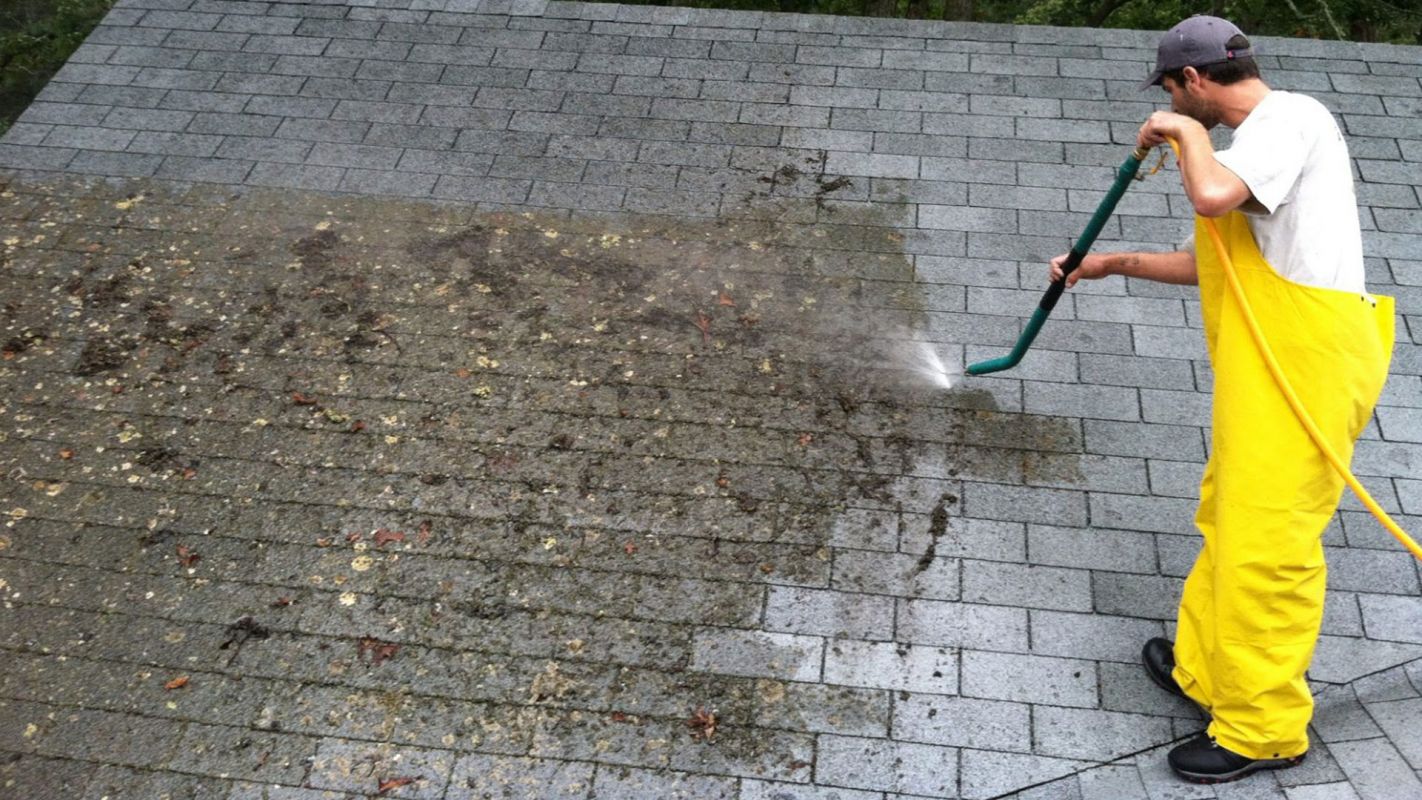 Residential Roof Cleaning Services Jacksonville Beach FL
