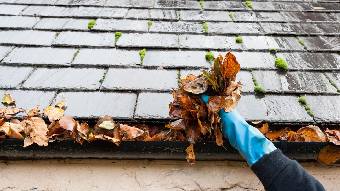 Rain Gutter Cleaning Services San Leandro CA