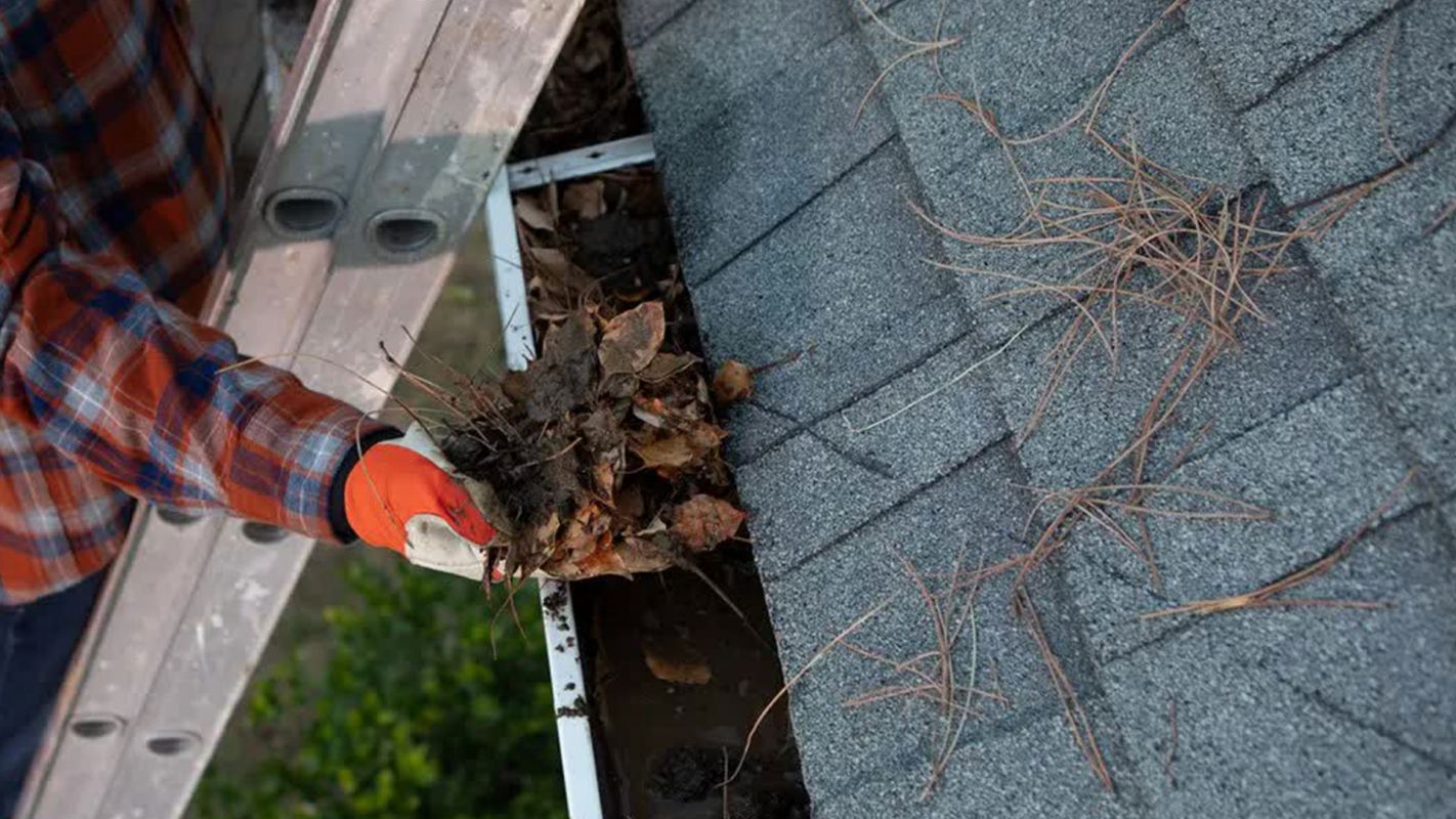 Gutter Cleaning Chesterfield MO