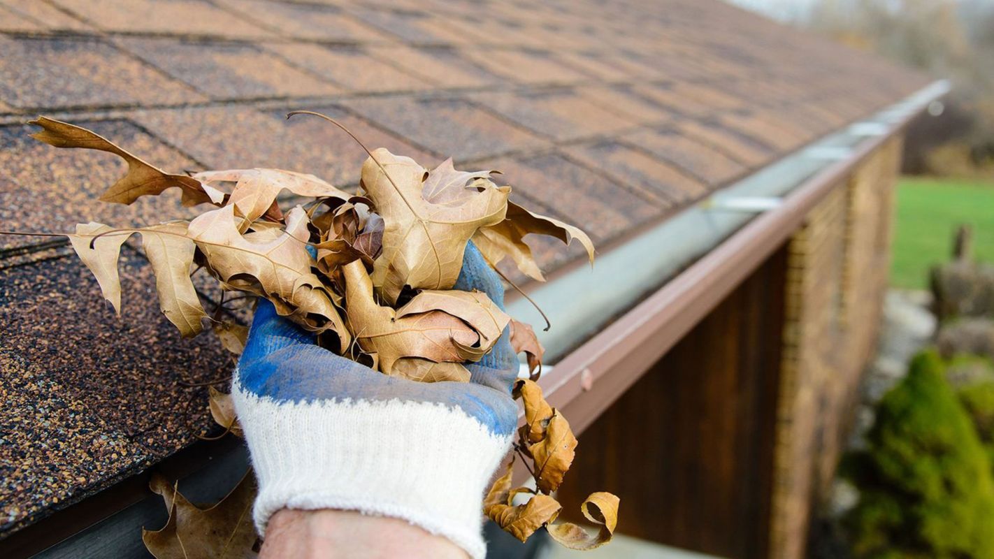 Affordable Gutter Cleaning Service Chesterfield MO