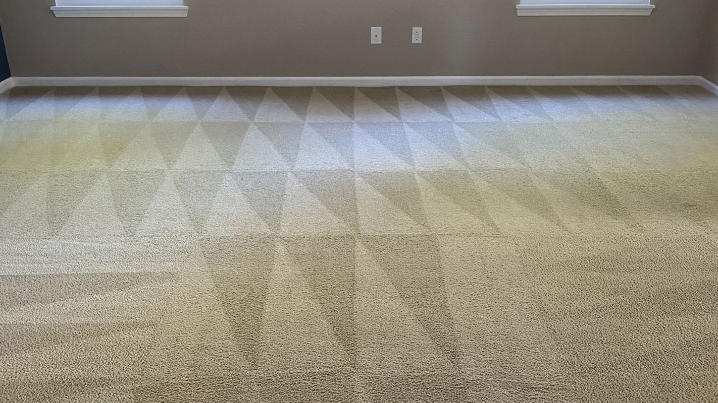 Carpet Cleaning Services Carmel IN