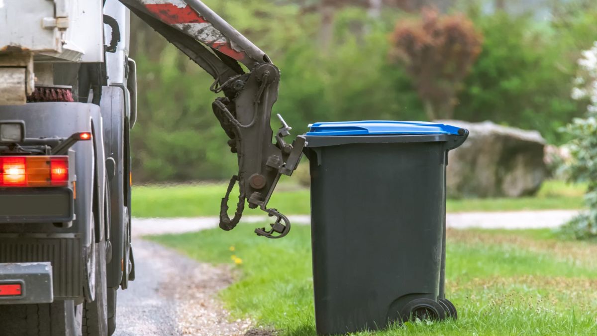 Trash Pickup Services Raleigh TX