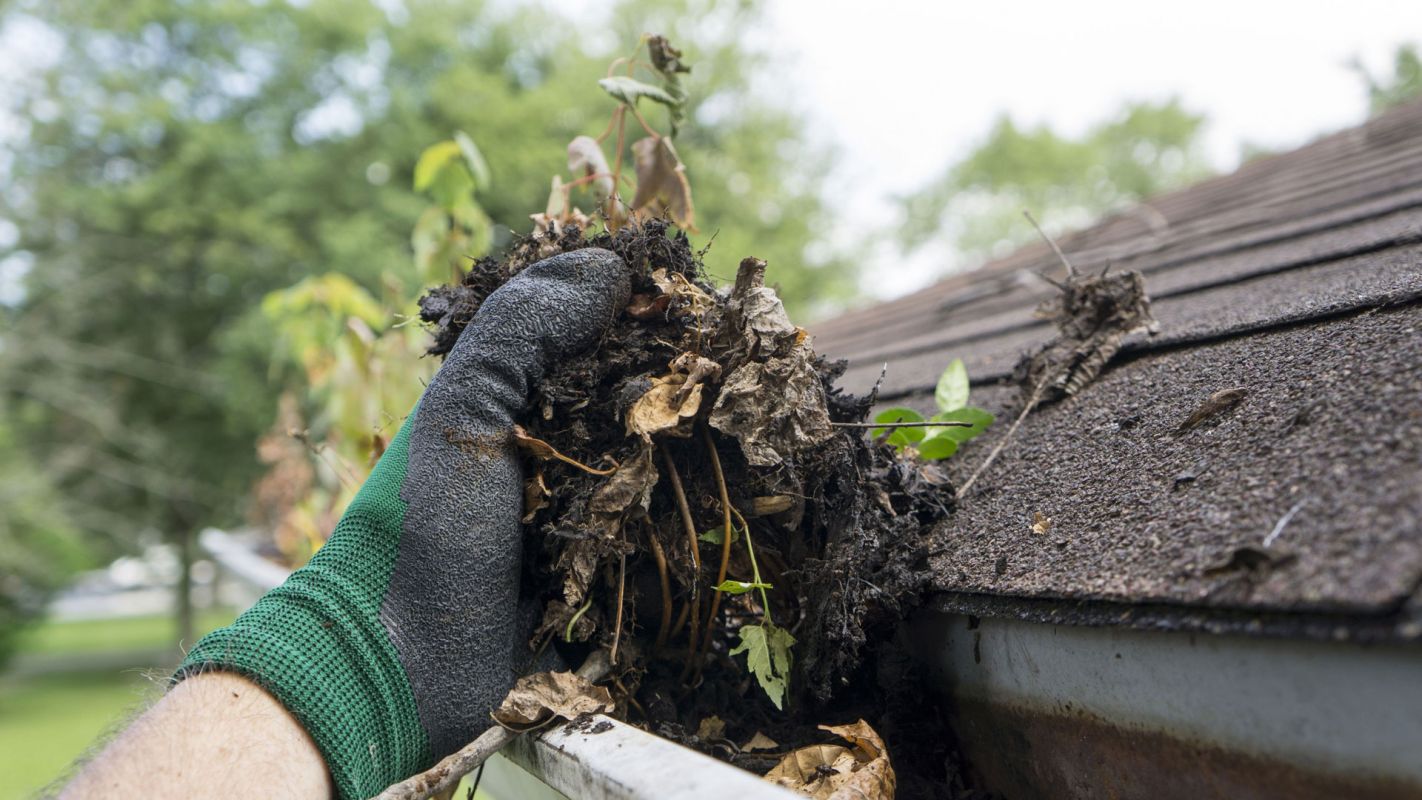 Gutter Cleaning Bowie MD