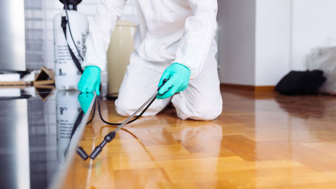 Pest Extermination Fairfax VA