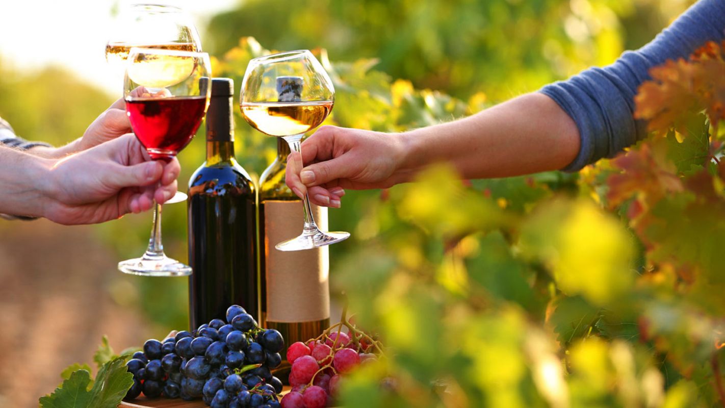 Be a Part of Our Exciting Wine Tasting Tours Alamo CA