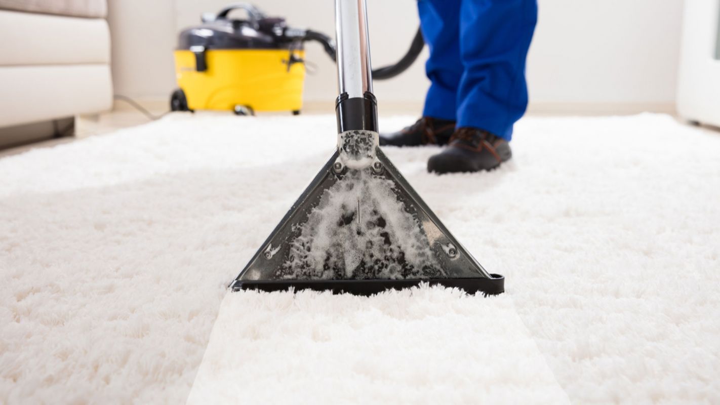 Carpet Cleaning Company Albuquerque NM