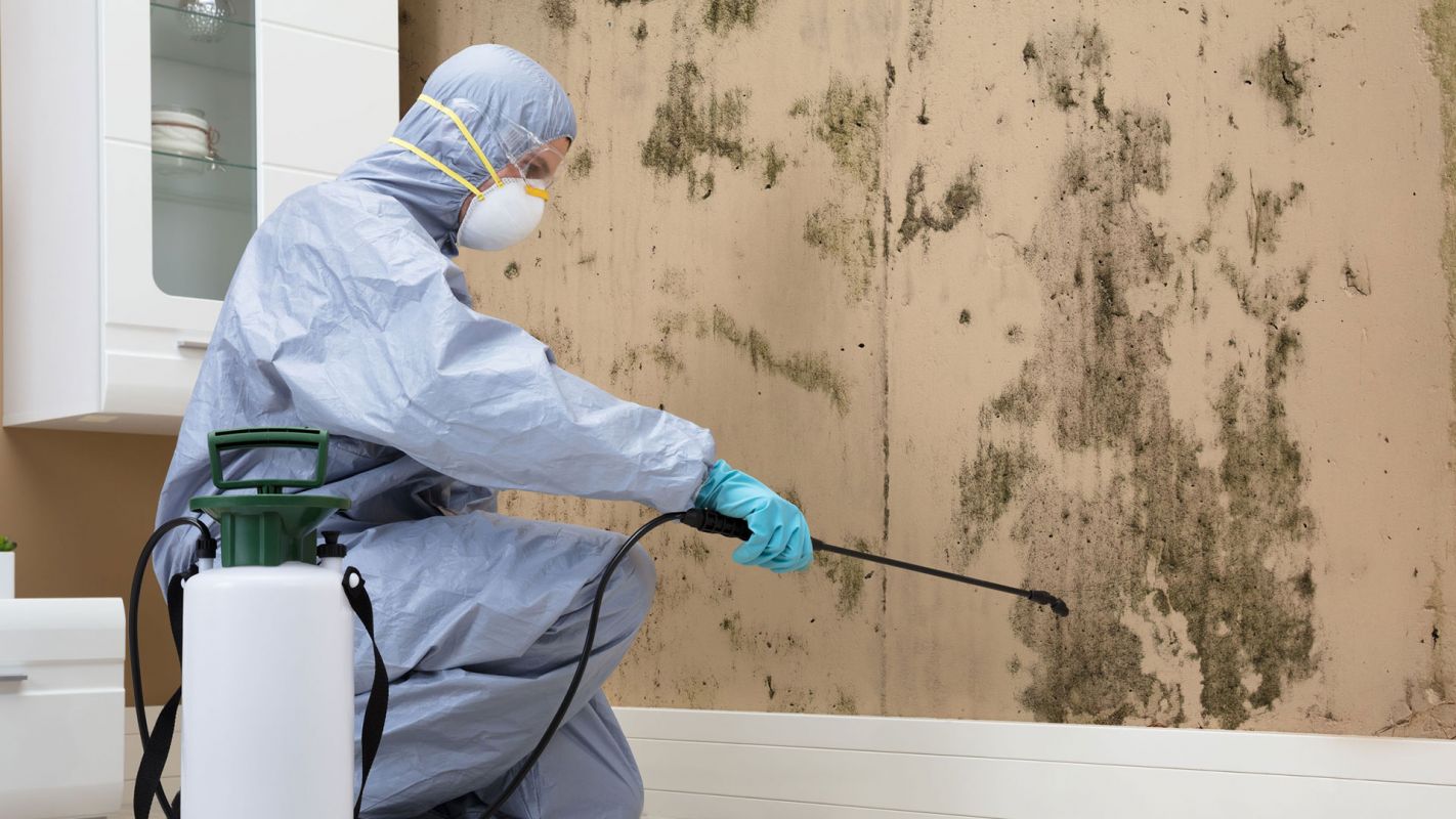 Mold Remediation Service Cocoa FL