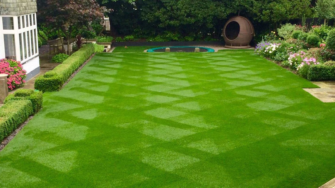 Lawn Maintenance Cherry Hill NJ