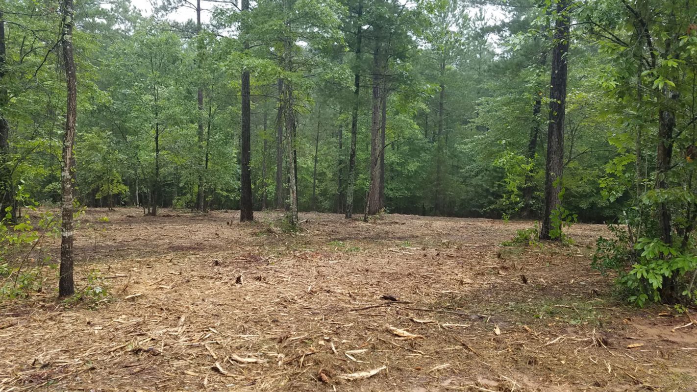 Forestry Mulching Orange Park FL