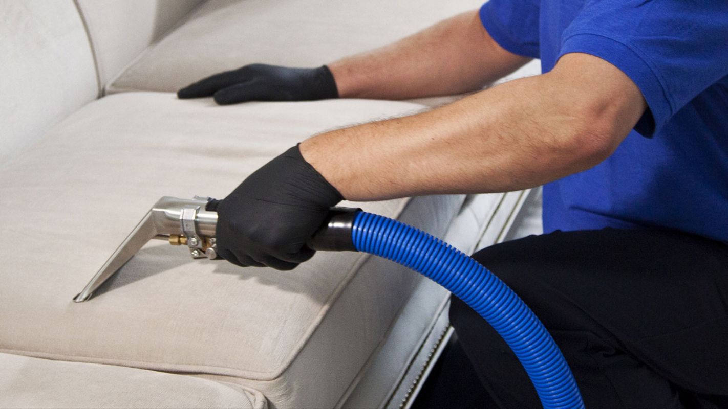 Upholstery Cleaning Services Holliston MA