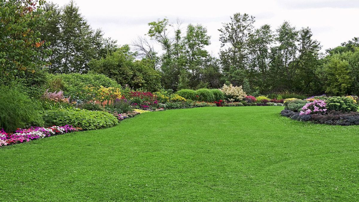 Efficient Landscaping Services Rolling Meadows IL