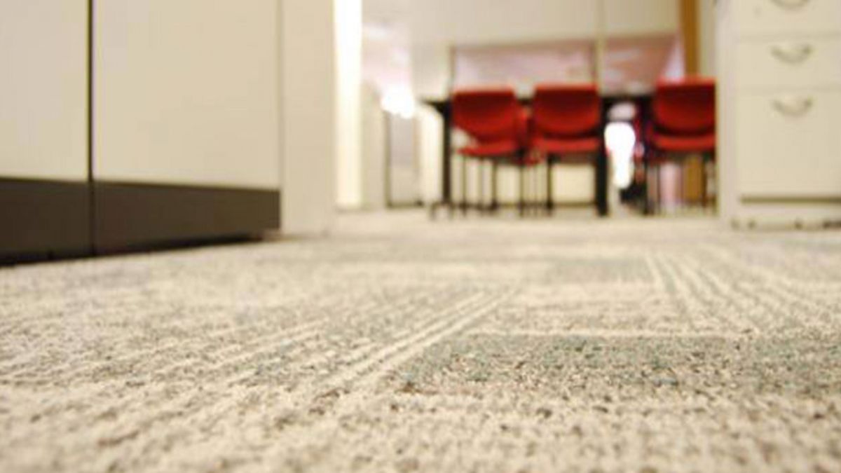 Carpet Cleaning Service Goodyear AZ