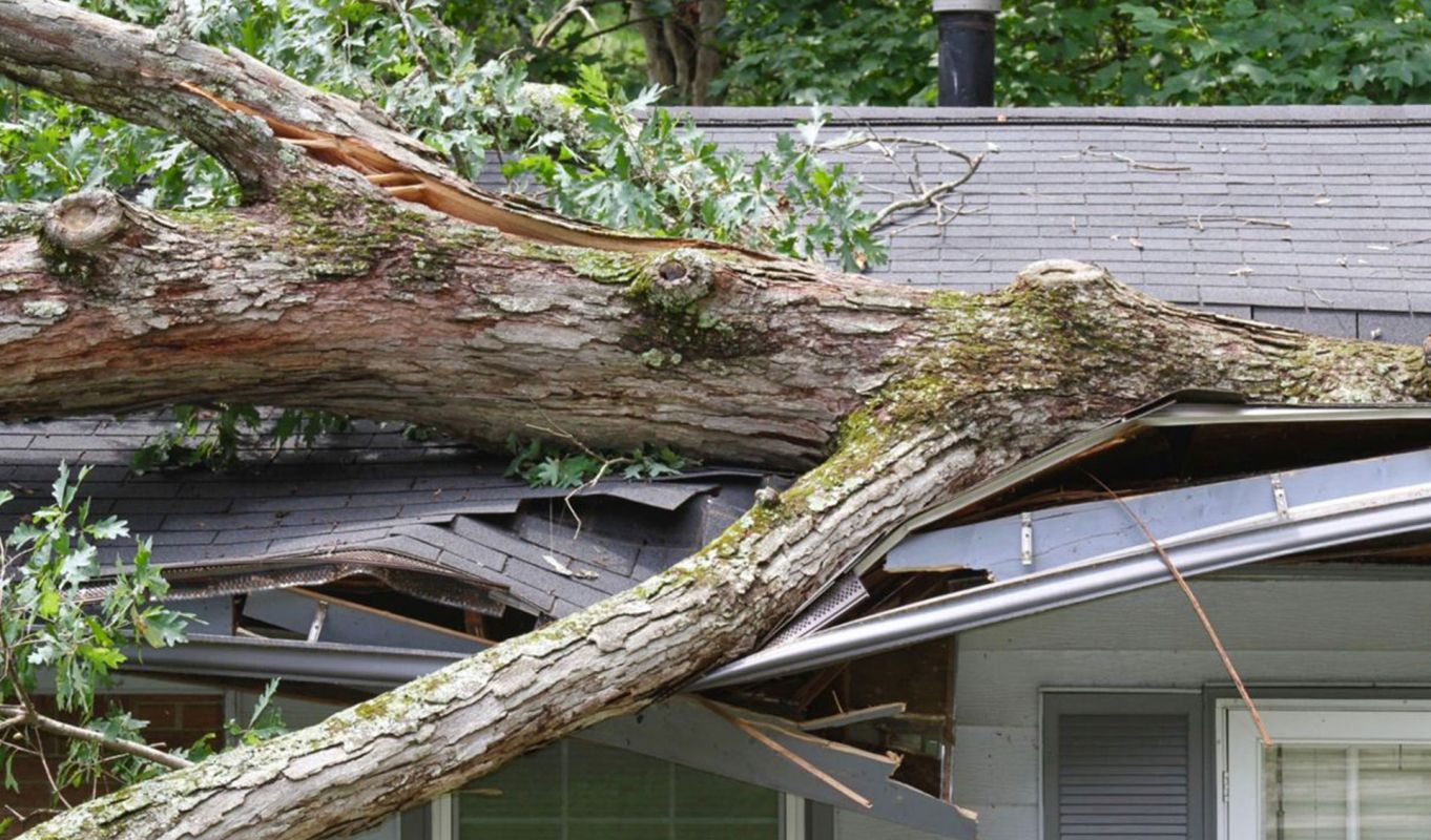 Storm Damage Farmers Branch TX