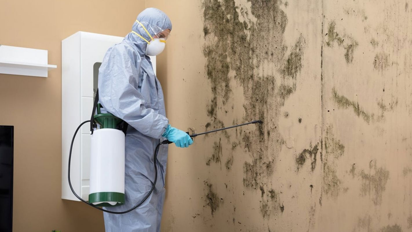 Mold Damage Cleanup Kissimmee FL