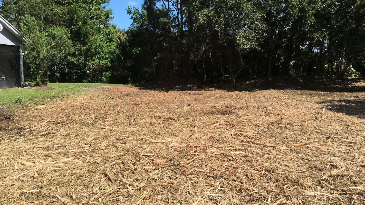 Land Clearing Services West Palm Beach FL
