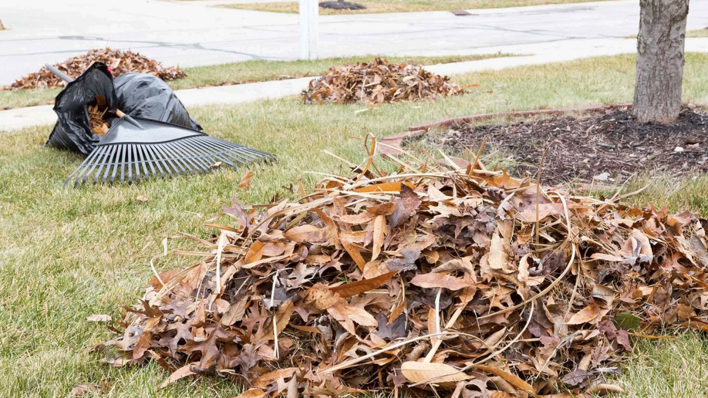 Yard Debris Removal Altamonte Springs FL