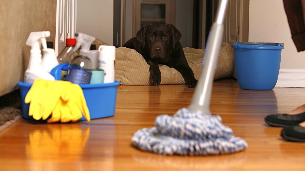 Professional house cleaning service Aurora CO