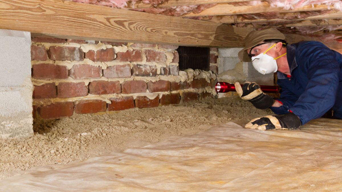 Termite Inspection Anne Arundel County MD