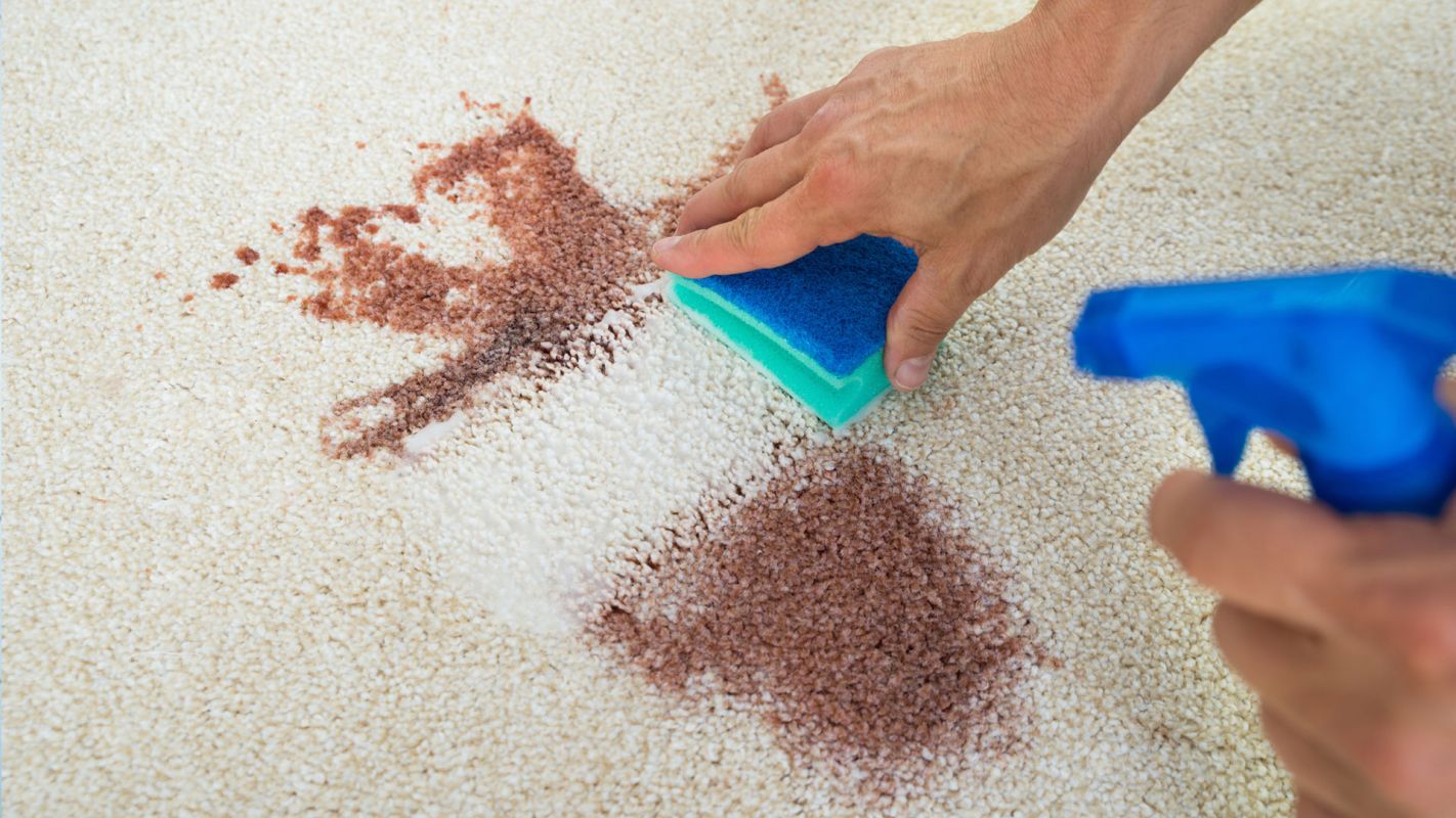 Carpet Stain Removal North Las Vegas NV