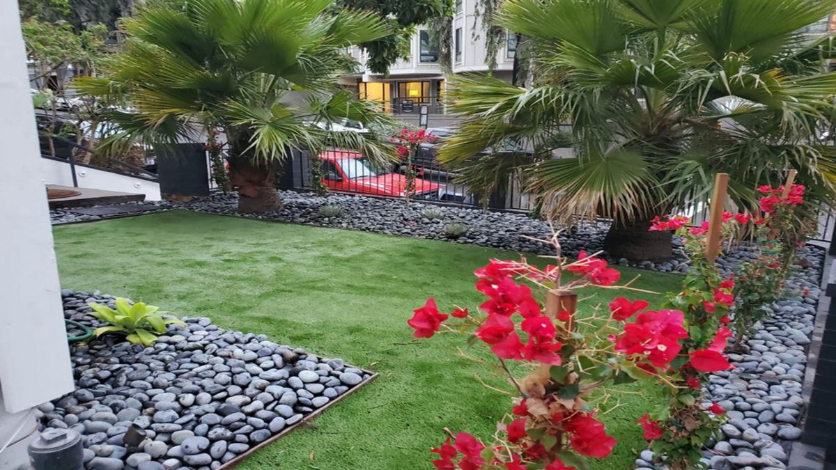 Front Yard Landscaping Services San Francisco CA