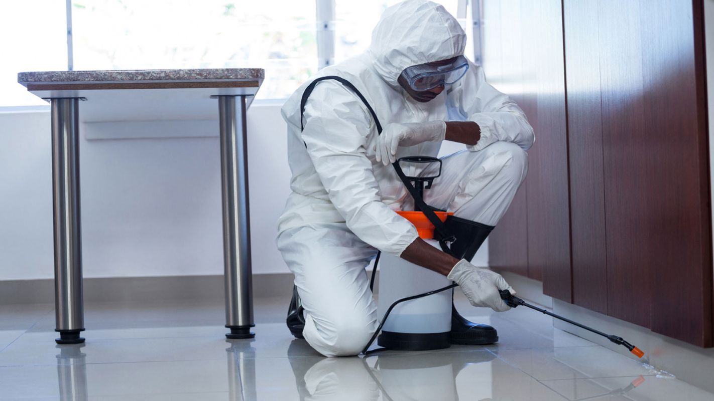 Pest Extermination Richmond TX