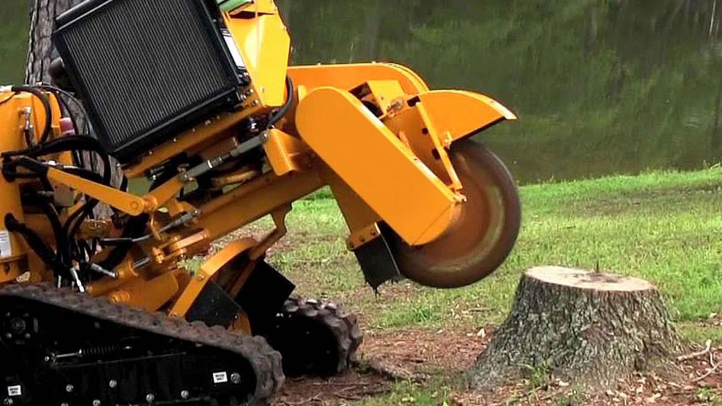 Stump Grind Services Weymouth MA