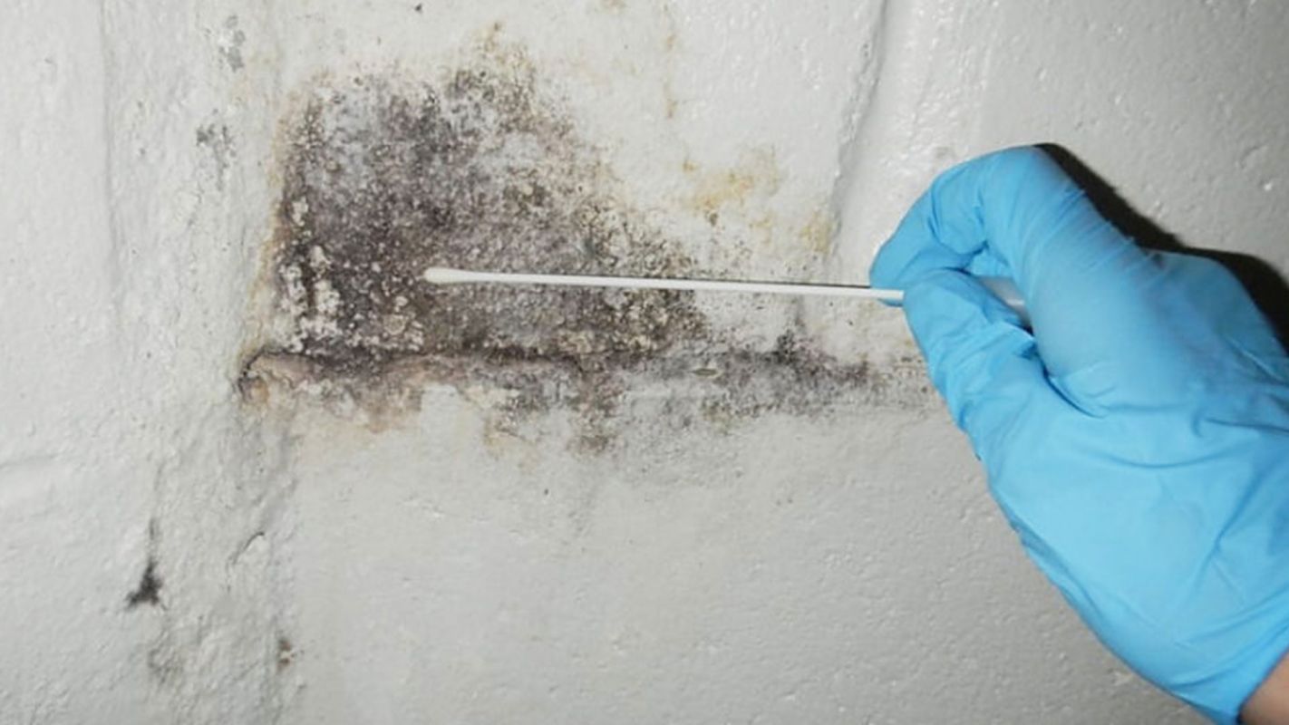 Mold Testing And Inspection Staten Island NY