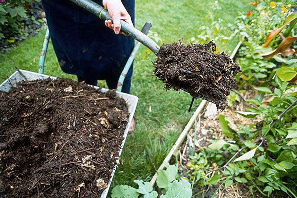 Garden Mulch For Sale Wildwood NC