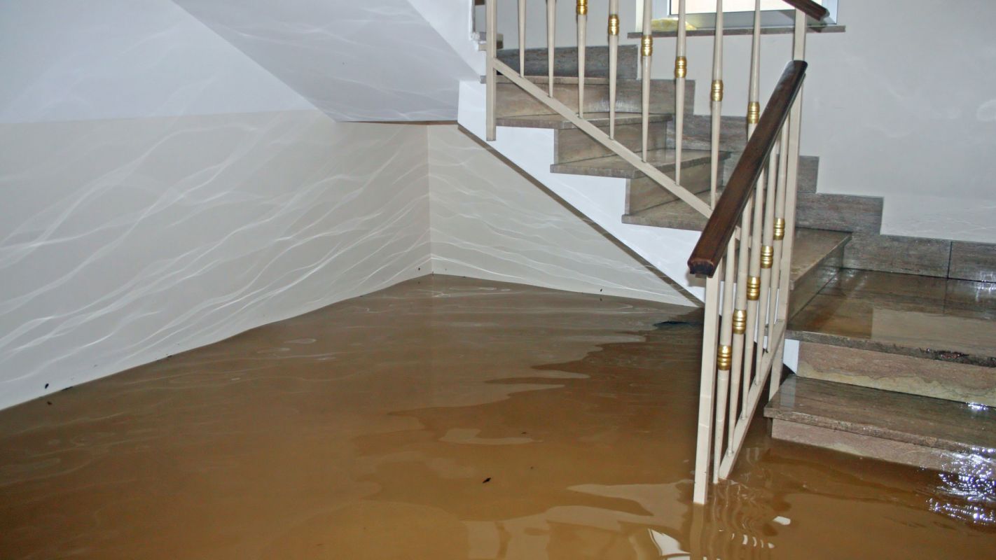 Flood Basement Cleanup Henderson KY