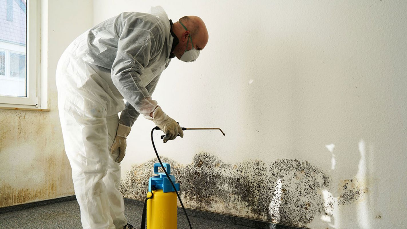 Mold Removal Services Poughkeepsie NY