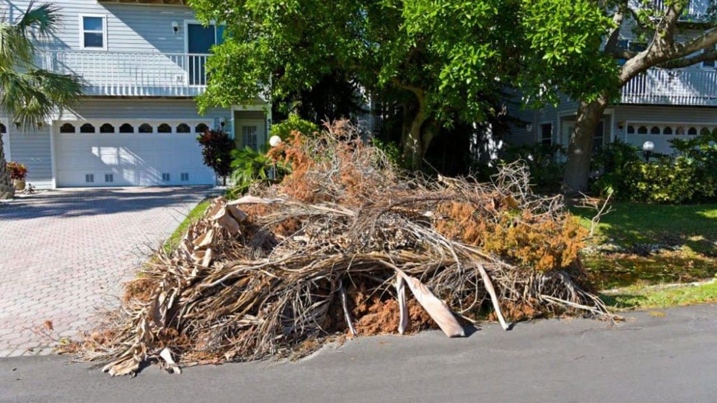 Residential Debris Removal Mount Prospect IL