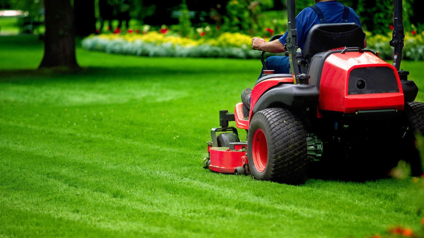 Lawn Maintenance Services Chelsea MA