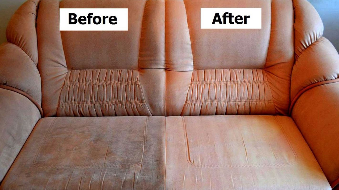 Couch Cleaning Tampa FL