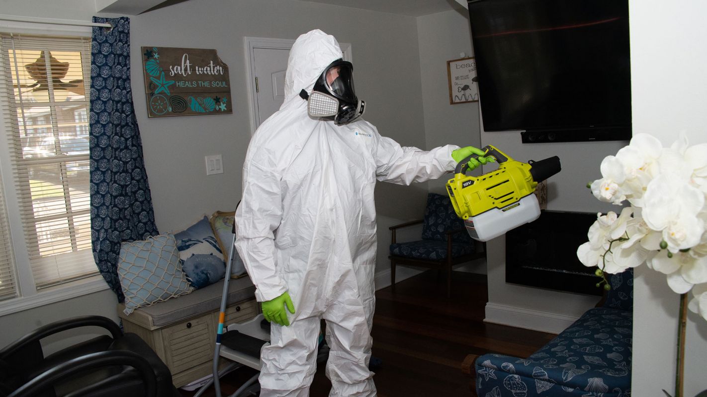 Affordable Disinfectant Spraying Branford CT