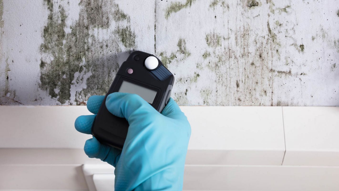 Mold Inspection and Testing Branford CT