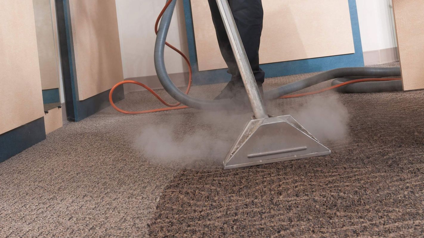 Steam Carpet Cleaning Service Naperville IL